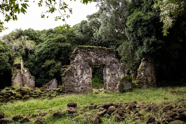 Antiquated Ruins Hidden Tropical Rainforest Honolulu — Stock Photo, Image