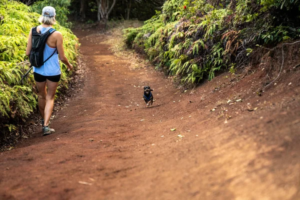 Blonde Woman Going Hiking Adventure Small Black Puppy — Stock Photo, Image