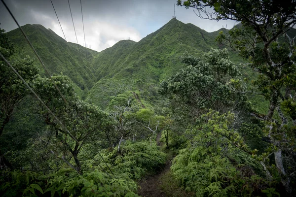 Lignes Électriques Traversant Une Chaîne Montagnes Tropicales Hawaï — Photo