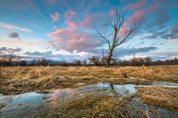 Coucher Soleil Sur Zone Humide Rivière Turiec Slovaquie — Photo