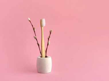 Bamboo toothbrush, pussy willow branches in concrete stand, eco spring
