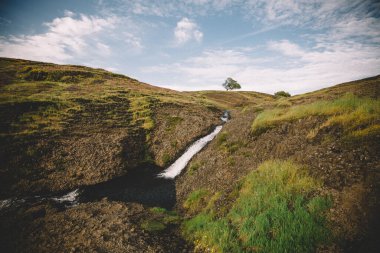 Kaliforniya 'daki Grassy Hillside' da Mevsimlik Nehir Karanlık Havuza Akar