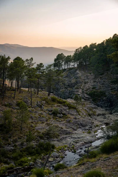 夕暮れ時の松の木と岩の山の風景と川の交差点 — ストック写真