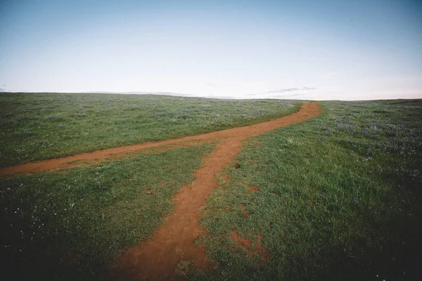 Dirt Forked Path Leads Across a Grassy Mesa at Dusk