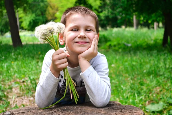 Glimlachende Jongen Met Weinig Paardebloemen Het Park — Stockfoto