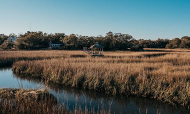 Marsh Rıhtımı Mavi Gökyüzü Güney Carolina