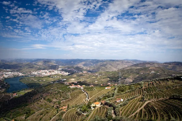 Πανοραμική Όμορφη Θέα Στην Κοιλάδα Του Douro Στην Πορτογαλία — Φωτογραφία Αρχείου