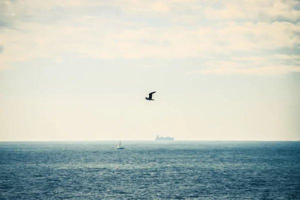 Τοπίο Της Θάλασσας Ένας Γλάρος Που Πετά Στον Ουρανό Πλοία — Φωτογραφία Αρχείου