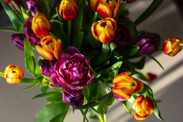 Bouquet Tulips Sunlight Top View — Stock Photo, Image
