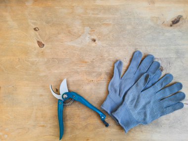 bahçe makası (makas), ahşap masa üzerinde eldivenler, üst görünüm