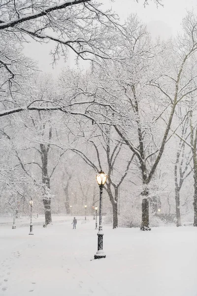 在纽约市中央公园的冬季暴风雪中 一个默默无闻的人带着闪亮的路灯沿着空旷的小巷行走在无叶的树上 — 图库照片