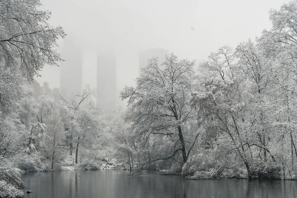 Árboles Sin Hojas Cubiertos Nieve Que Crecen Costa Del Río — Foto de Stock