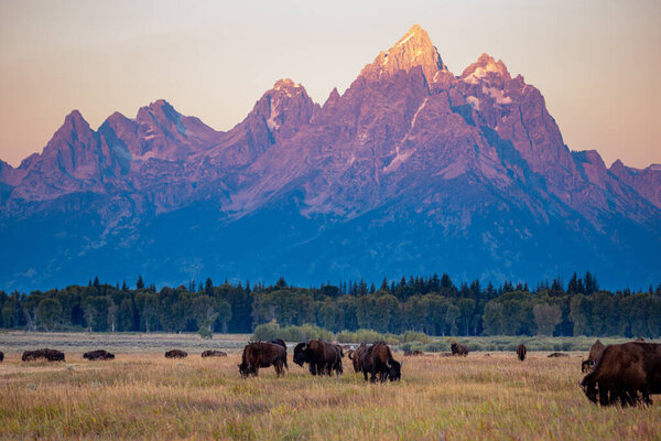 Grand Teton National Park, Wyoming