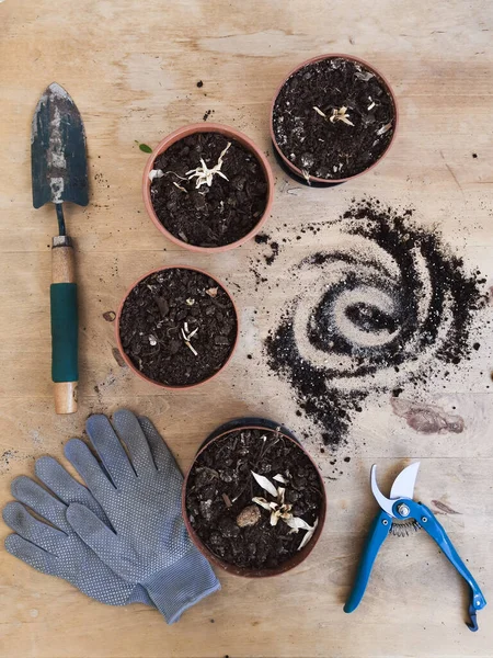 Gardening Tools Flower Pots Soil Gloves Wooden Table — Stock Photo, Image
