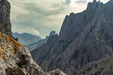 Arka planda dağ odaklı taş