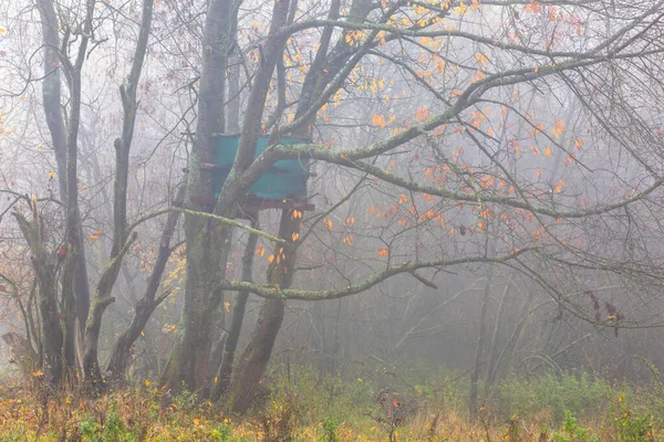 Veduta Caccia Piedi Delle Montagne Velka Fatra Slovacchia — Foto Stock