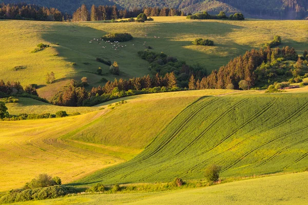 ヴェルカ ファトラ スロバキアの麓の農村風景 — ストック写真