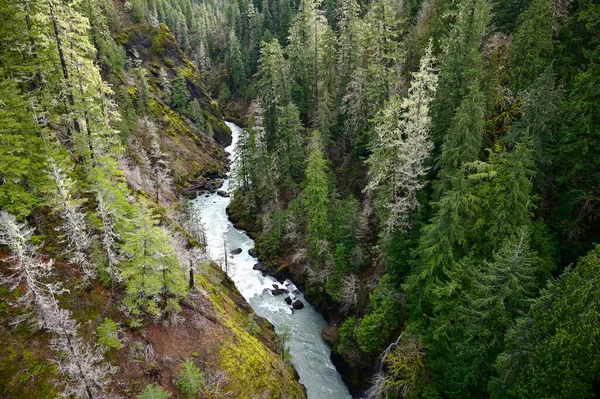 Blick Auf River Valley Von Der Brücke — Stockfoto