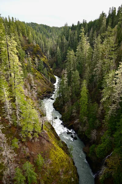 Blick Auf River Valley Von Der Brücke — Stockfoto