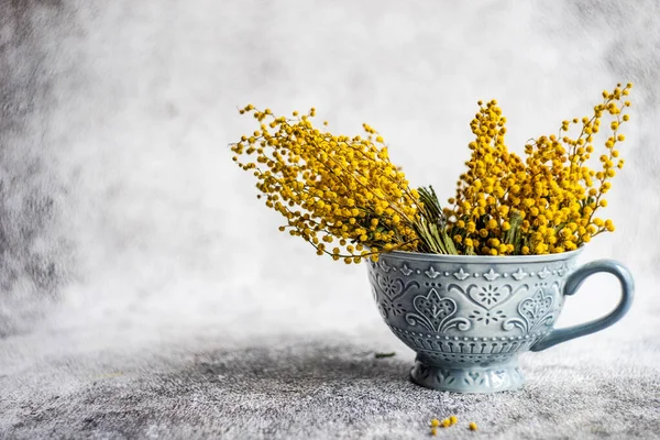 Grijze Beker Met Boeket Mimosa — Stockfoto