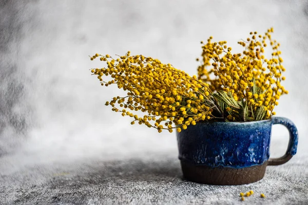 Mimosa Bloemen Een Kopje Het Interieur — Stockfoto