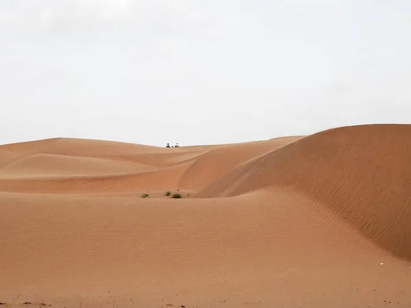 Ruhige Wüste Sand Landschaft Blick — Stockfoto