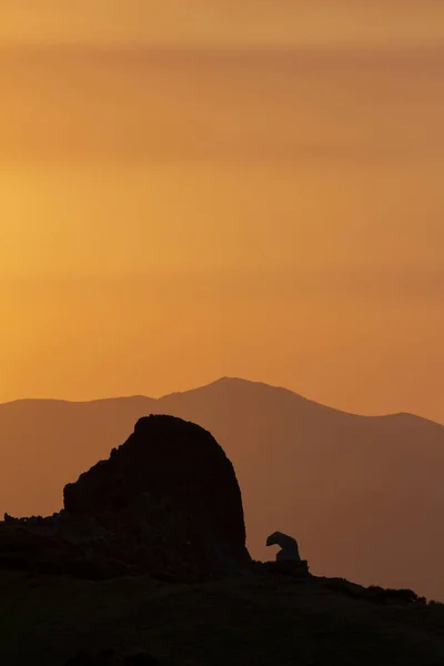 Wschód Słońca Picos Europa Llesba Lookout — Zdjęcie stockowe