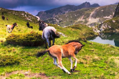 Rila Dağı 'ndaki Urdini gölleri