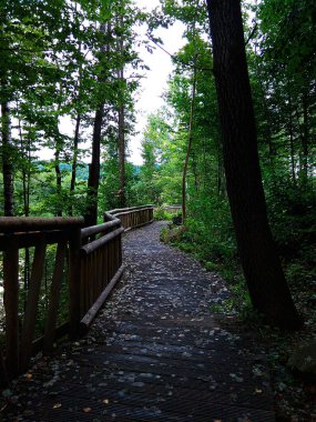 Parktaki yolun manzarası