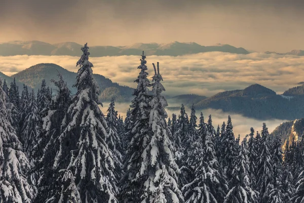 Гірський Хребет Над Хмарами — стокове фото
