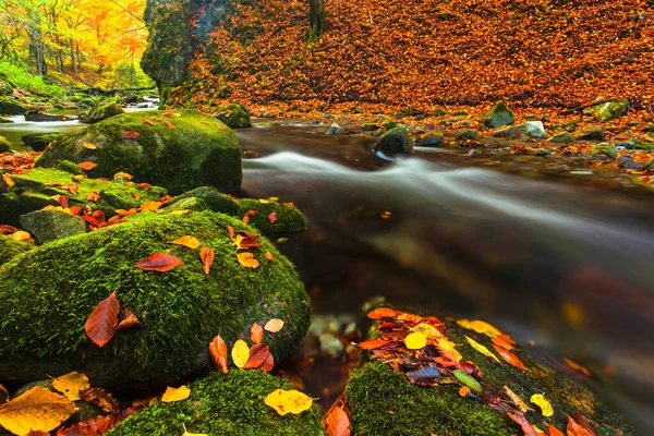 Rapides Fluviaux Dans Une Forêt Automne Colorée — Photo