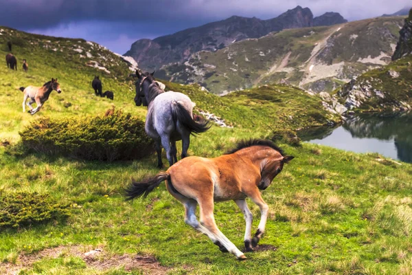 Lagos Urdini Rila Mountain — Fotografia de Stock