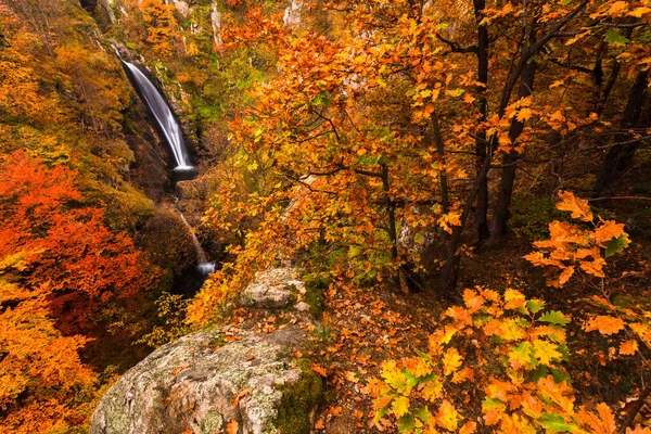 Cascades Magnifiques Dans Une Forêt Automne Colorée — Photo