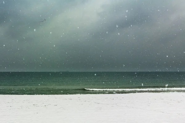 Mar Invierno Nieva Junto Mar —  Fotos de Stock