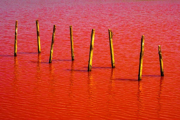 Roter See Holzstämme Rotem See — Stockfoto