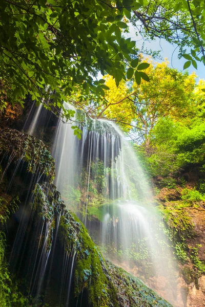 Krushuna Şelaleleri Ormandaki Güzel Şelale — Stok fotoğraf