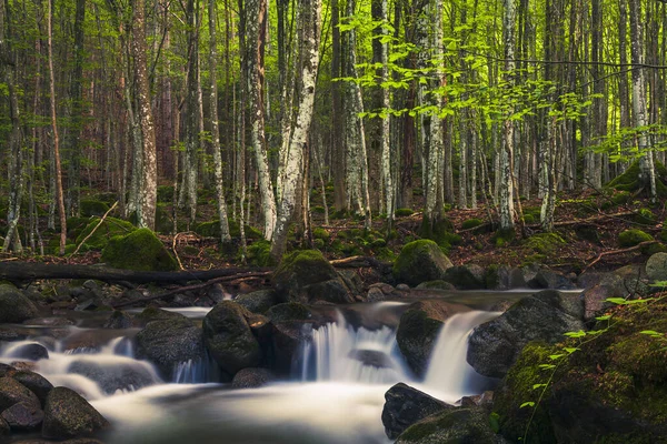 Les Rapides Eau Vive Les Rapides Eau Vive Rivière — Photo