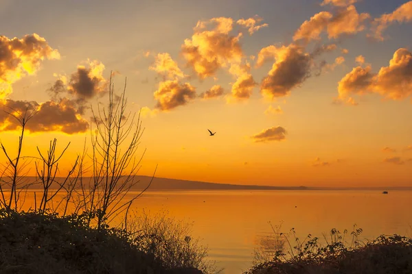 Vaya Lake Πουλιά Που Πετούν Από Μια Λίμνη Στο Ηλιοβασίλεμα — Φωτογραφία Αρχείου