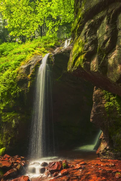 Cascade Dans Forêt Printanière — Photo