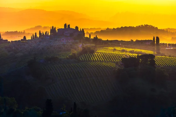 Виноградник Тоскана Віллою Пагорбі Під Час Сходу Сонця — стокове фото