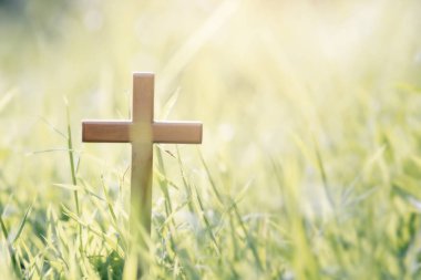 Bulanık gün batımı arkaplanında çapraz.