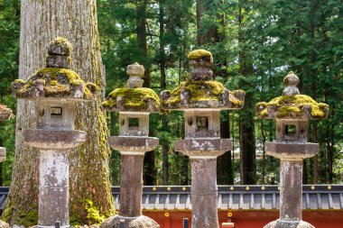 Nikkon tapınağındaki yeşil yosunlarla kaplı bir sıra taş lamba.
