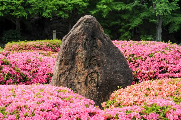 日本京都Nijo Ji城堡的简约花园装饰 — 图库照片