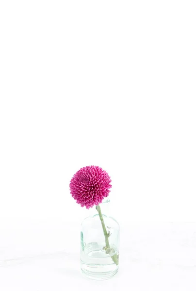 Проста Сучасна Одинарна Квітка Вазі Бутона Мармурі Білому — стокове фото