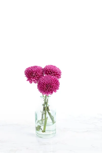 Невелика Група Квітів Скляній Вазі Яскраво Білому Тлі — стокове фото
