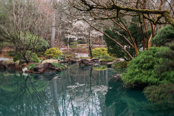 Bloeiende Bomen Reflectie Vijver Bij Japanse Tuin Georgie — Stockfoto