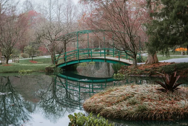 Groene Voetgangersbrug Water Met Reflectie Botanische Tuin — Stockfoto