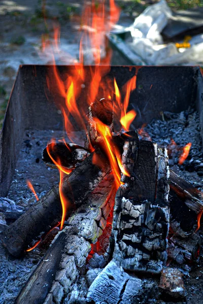 Bois Chauffage Brûle Dans Gril — Photo