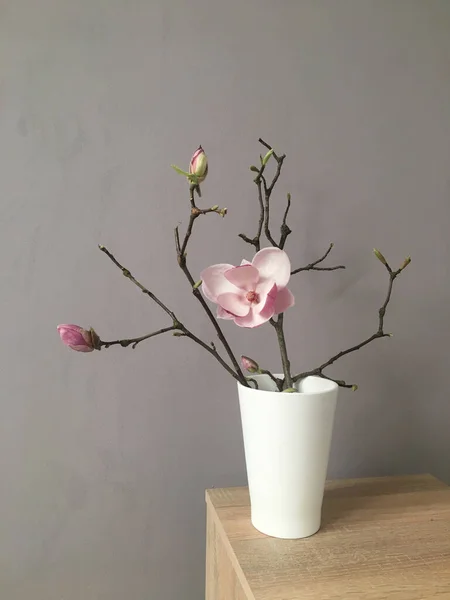 Gałązki Kwitnącym Pączkiem Magnolii Białym Wazonie Wnętrzu — Zdjęcie stockowe