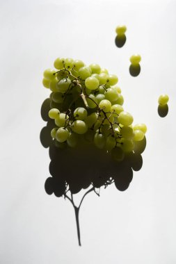 Beyaz arkaplanda bir demet üzüm